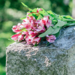 Close up of pink flowers laying on top of a gravestone at a cemetary